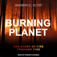 Burning_Planet